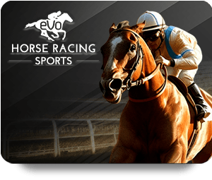 Discovering the Social Aspect of Live Casino Play Online